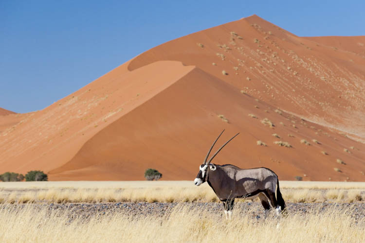 namibia botswana photo tour example 15