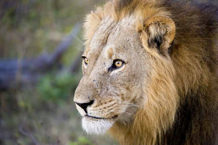 namibia botswana photo tour example 22