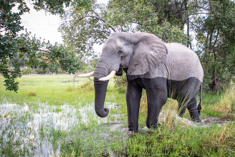 namibia botswana photo tour example 24