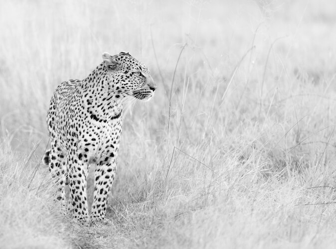 namibia botswana photo tour example 26