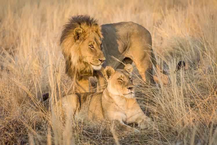 namibia botswana photo tour example 40