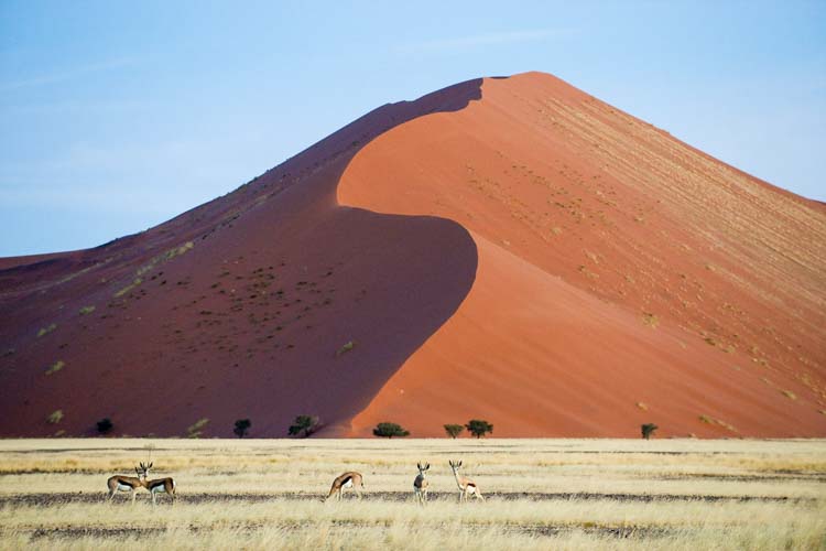 namibia botswana photo tour example 44