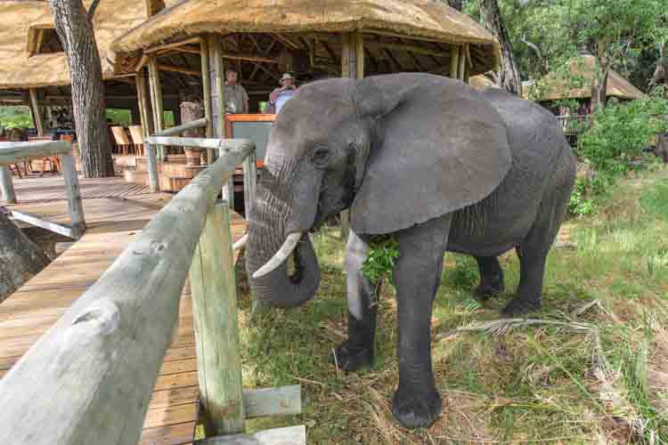 namibia botswana photo tour example 45