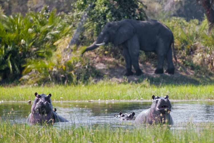 namibia botswana photo tour example 48