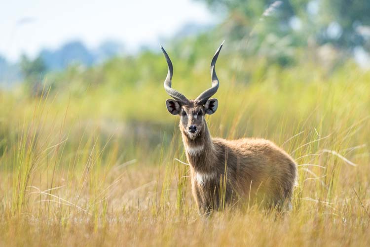 namibia botswana photo tour example 49