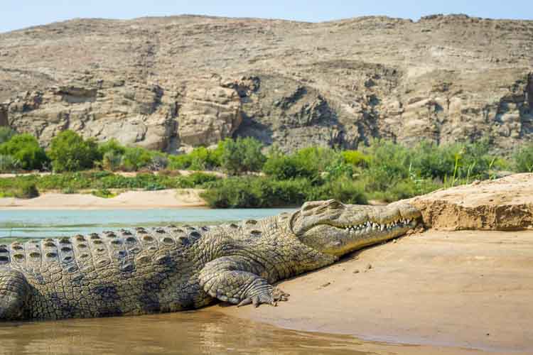 namibia botswana photo tour example 51