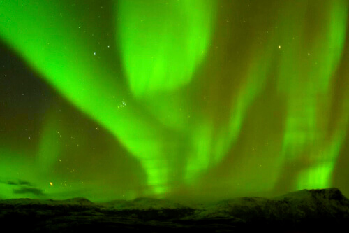 norway_orca_northern_lights photo tour example 6