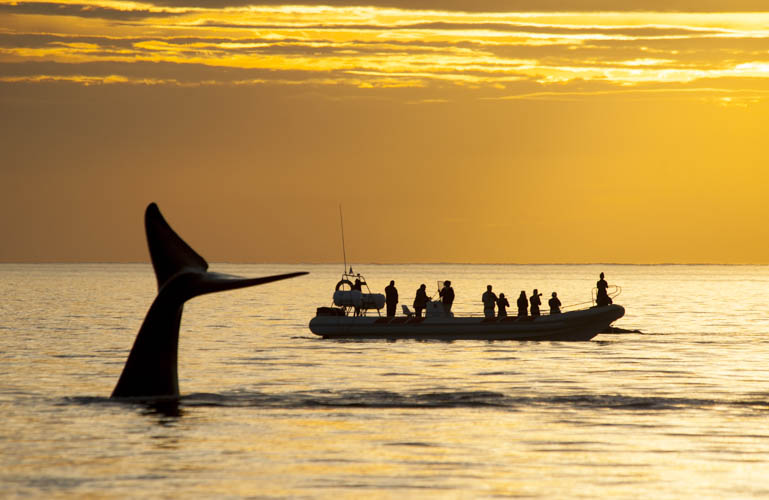 patagonia photo tour example 5