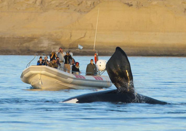 patagonia photo tour example 6