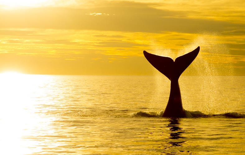 patagonia photo tour example 8