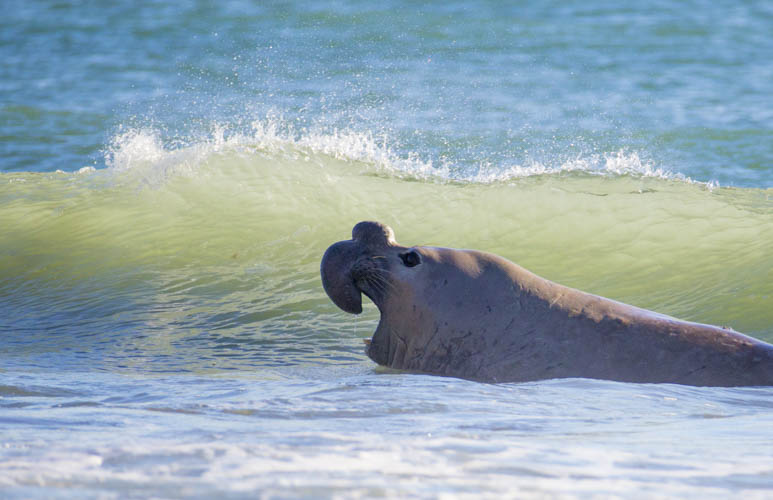 patagonia photo tour example 9