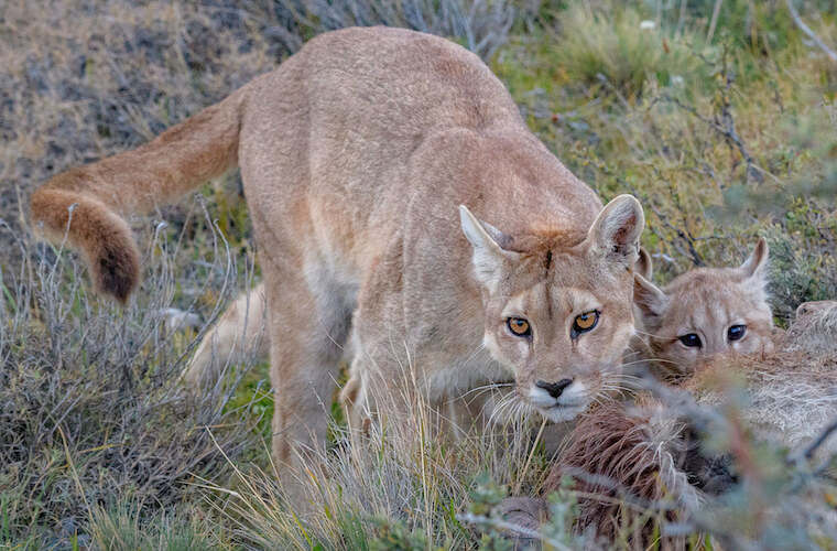 patagonia photo tour example 10
