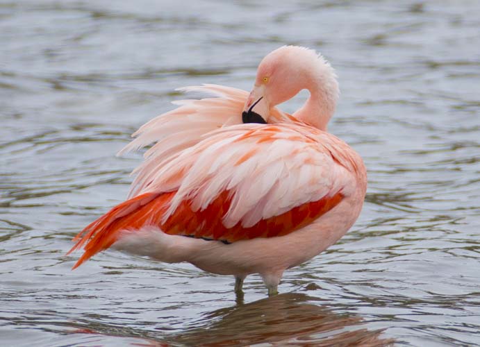 patagonia photo tour example 11