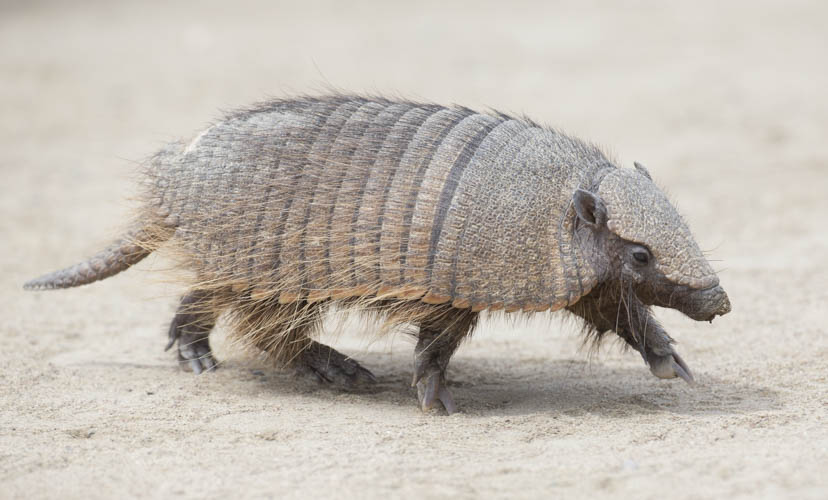 patagonia photo tour example 12