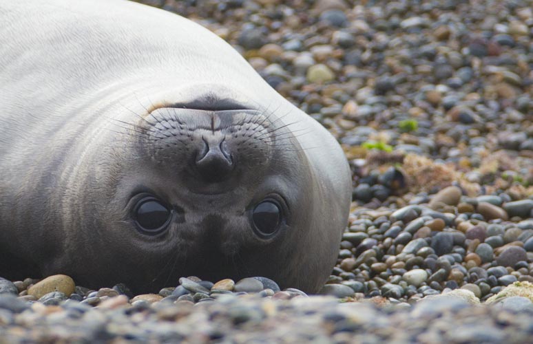 patagonia photo tour example 14