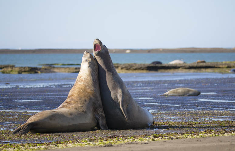 patagonia photo tour example 15