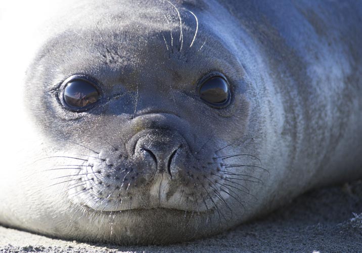 patagonia photo tour example 17