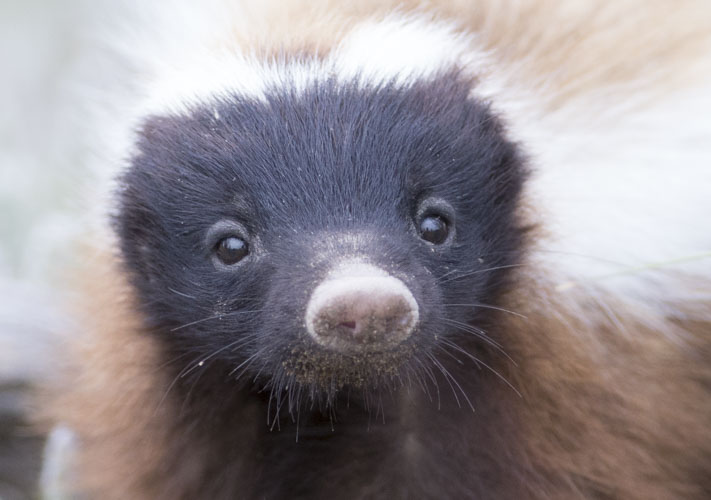 patagonia photo tour example 19