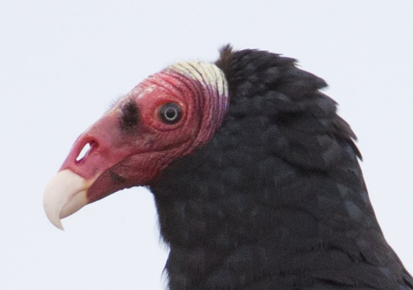 patagonia photo tour example 20