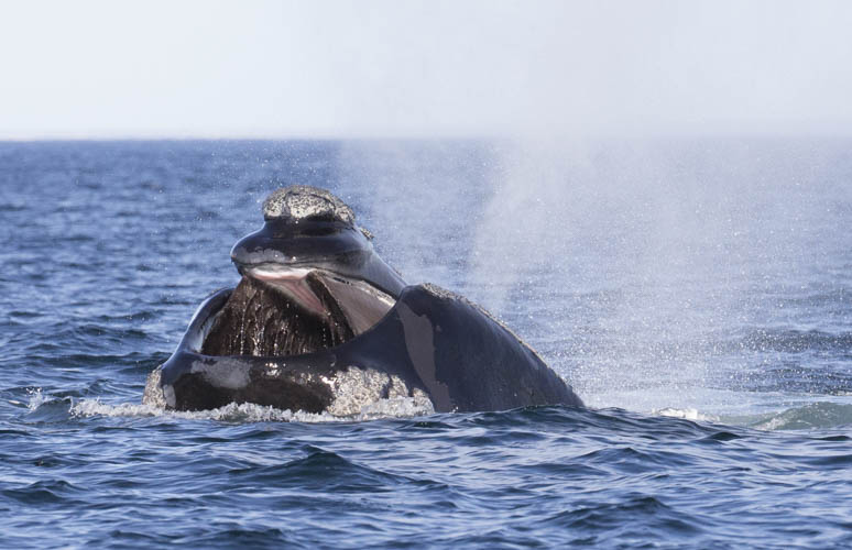 patagonia photo tour example 21