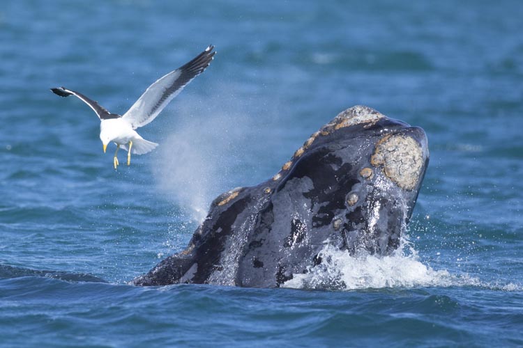 patagonia photo tour example 22