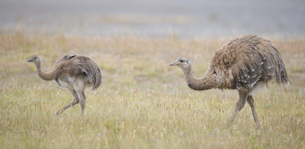 patagonia photo tour example 23