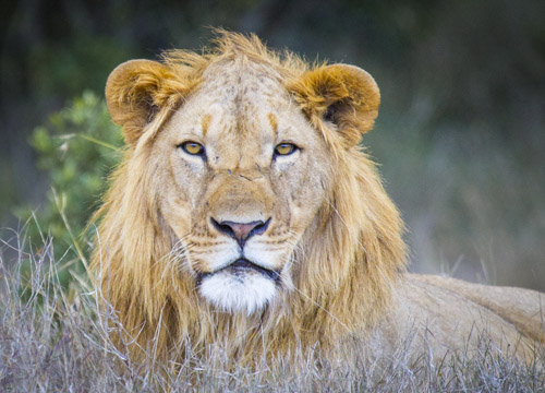 private tour example 5