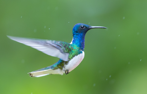 private tour example 6