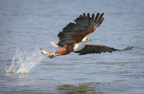 private tour example 13