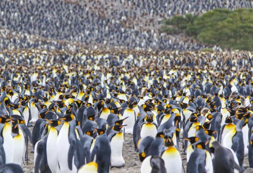 private tour example 14