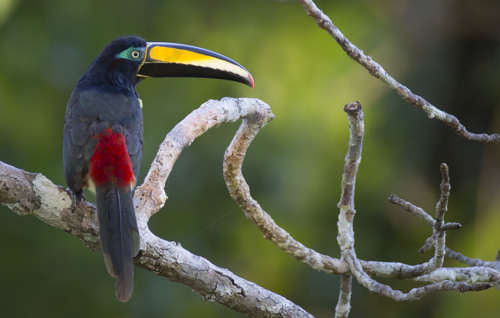 private tour example 20