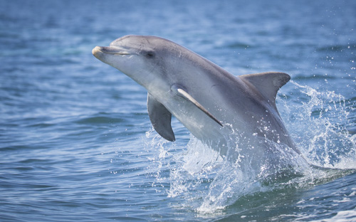 private tour example 22