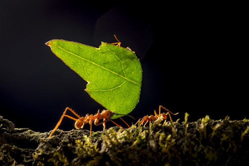 private tour example 24