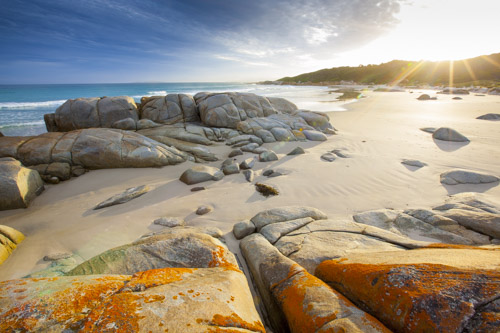 private tour example 25