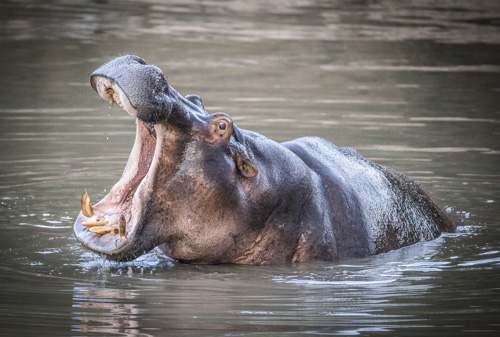 private tour example 32