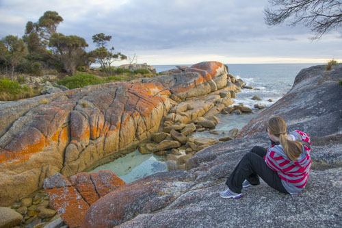 private tour example 33