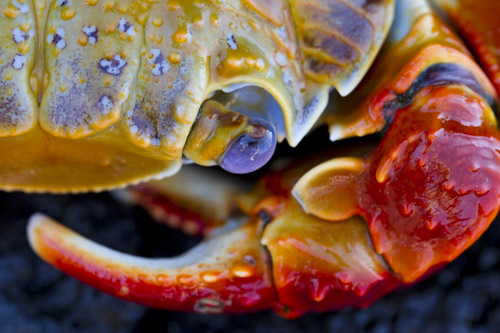 private tour example 34