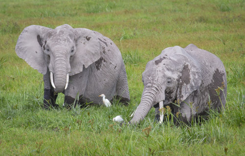 private tour example 35