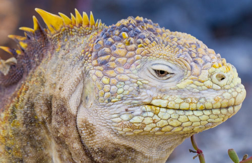 private tour example 36