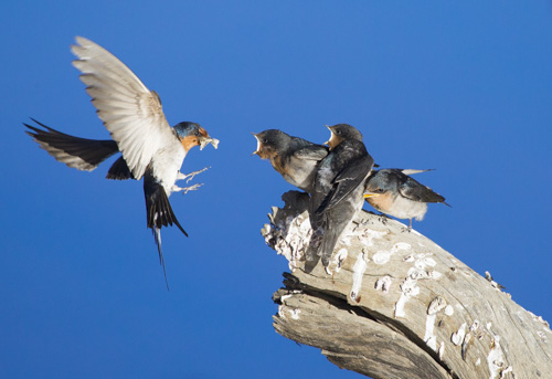 private tour example 39