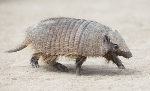 private tour example 43