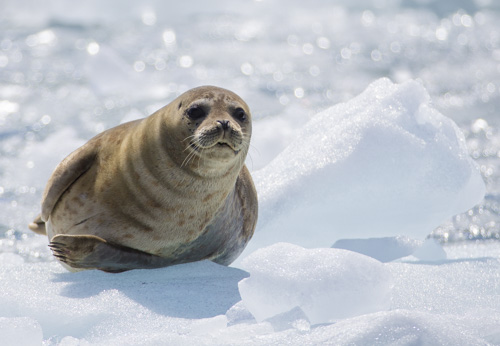 private tour example 44