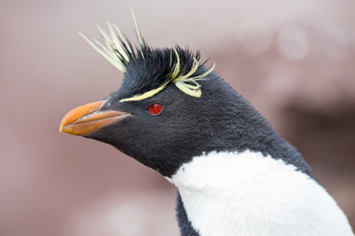 private tour example 46