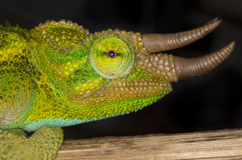 private tour example 50