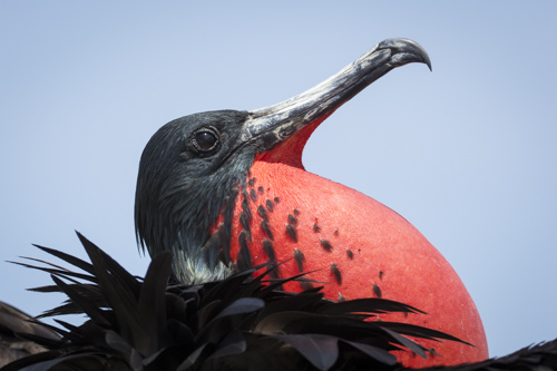 private tour example 52