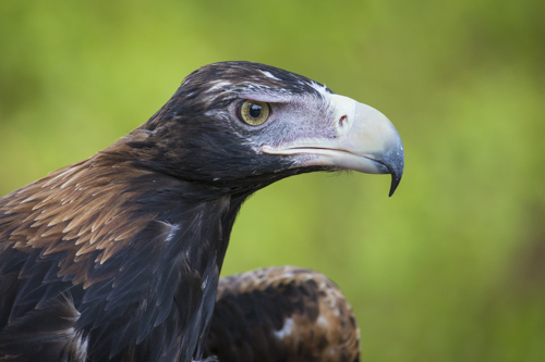 private tour example 53