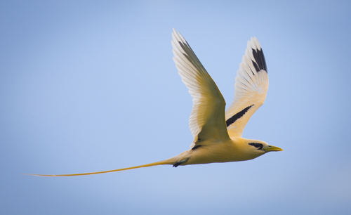 private tour example 57