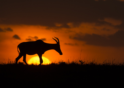 private tour example 61