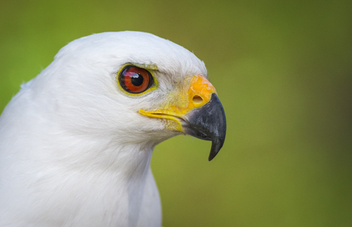 private tour example 62