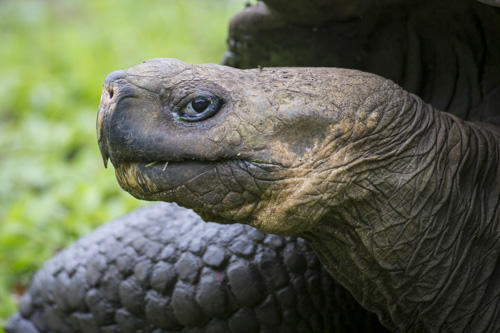 private tour example 65